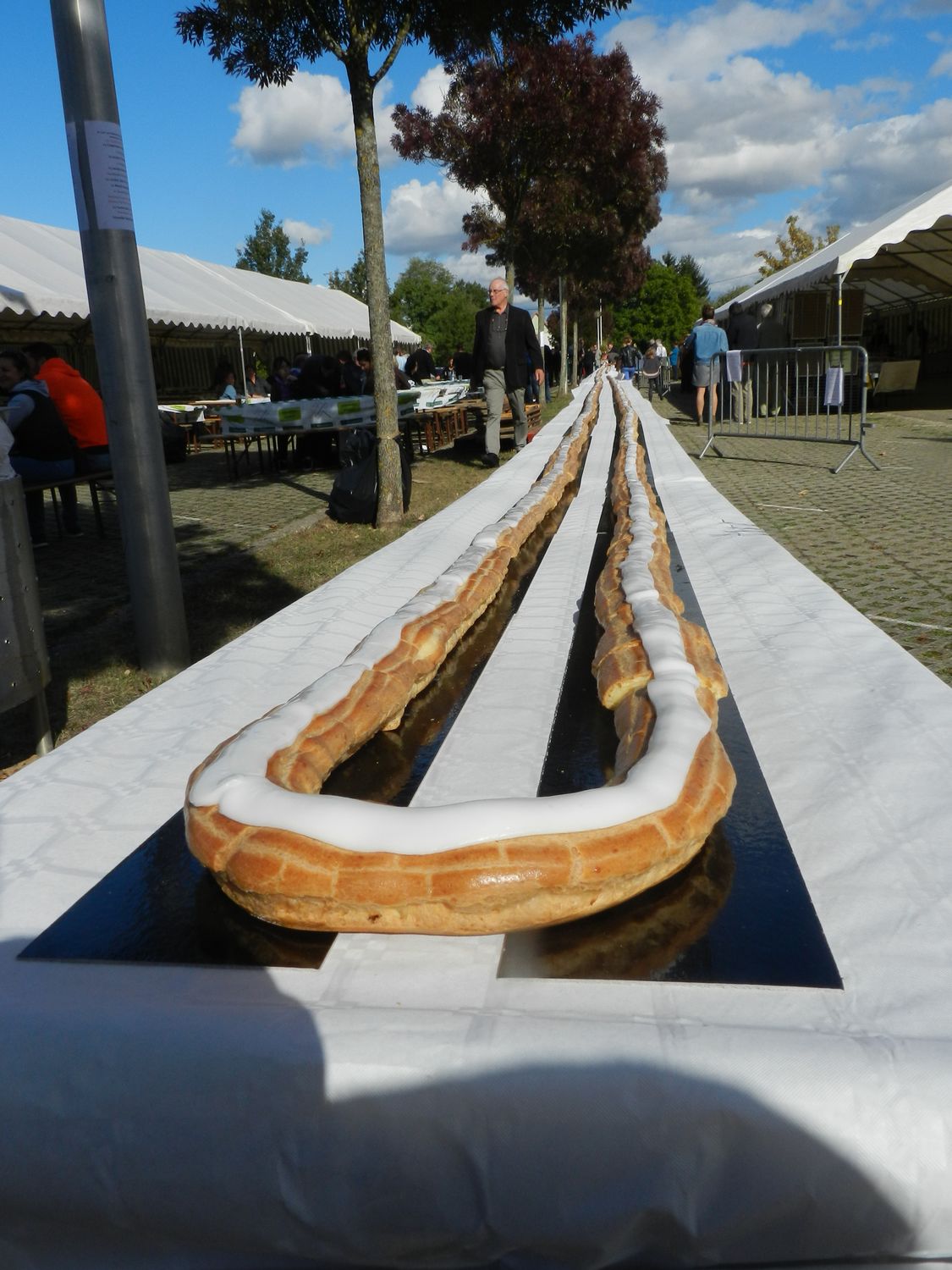 eclair_geant2016.jpg