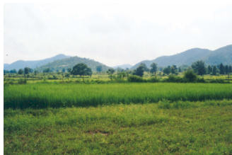 riviere.jpg